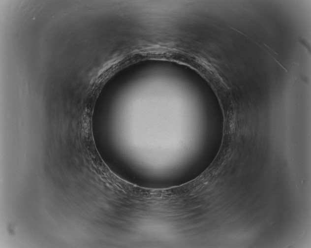 X0000102221350200808081307