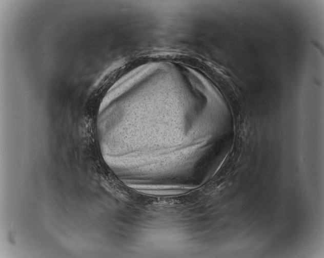 X0000102221351200808081307