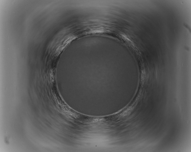 X0000102221353200808081307