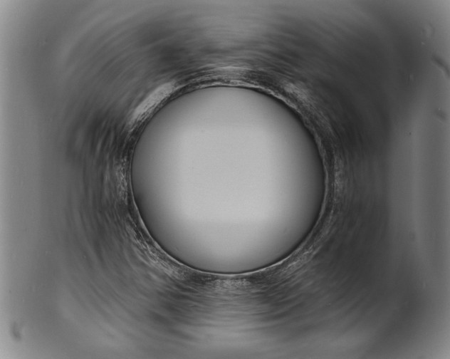 X0000102221354200808081307