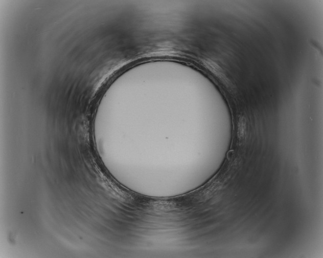 X0000102221356200808081307