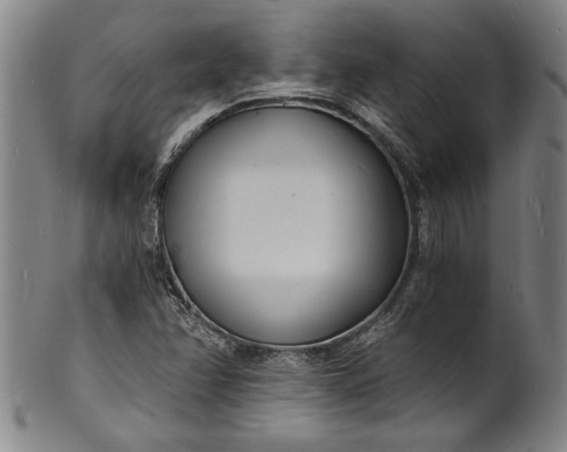 X0000102221358200808081307