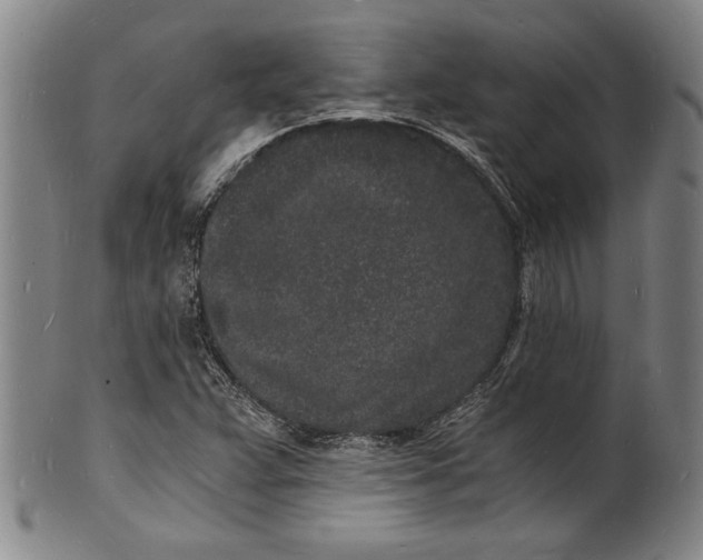 X0000102221359200808081307