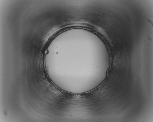 X0000102221360200808081307