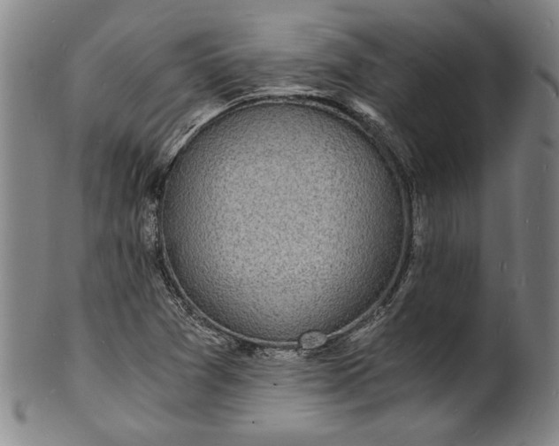 X0000102221361200808081307