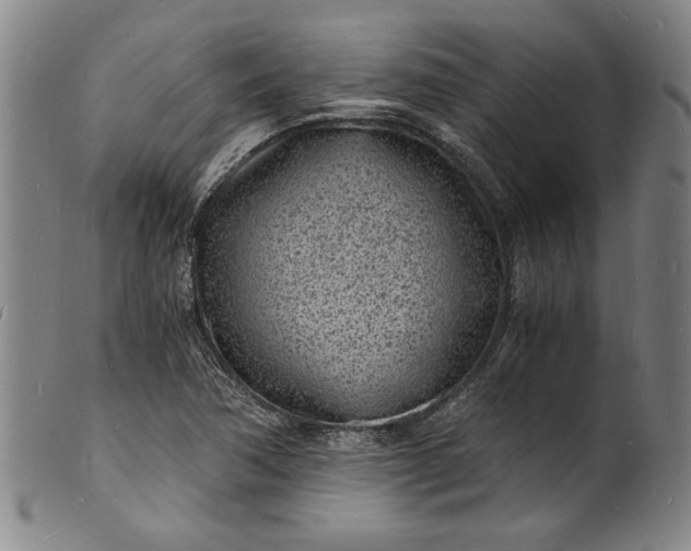 X0000102221362200808081307