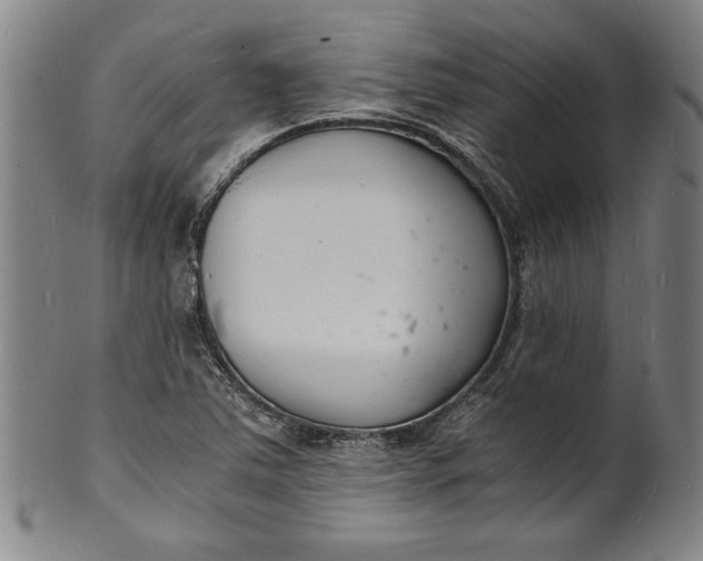 X0000102221363200808081307