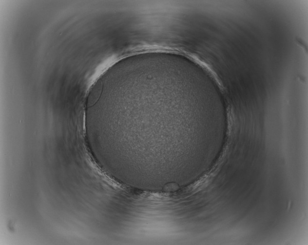 X0000102221365200808081307