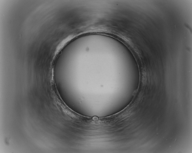 X0000102221366200808081307