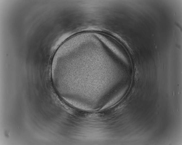 X0000102221367200808081307