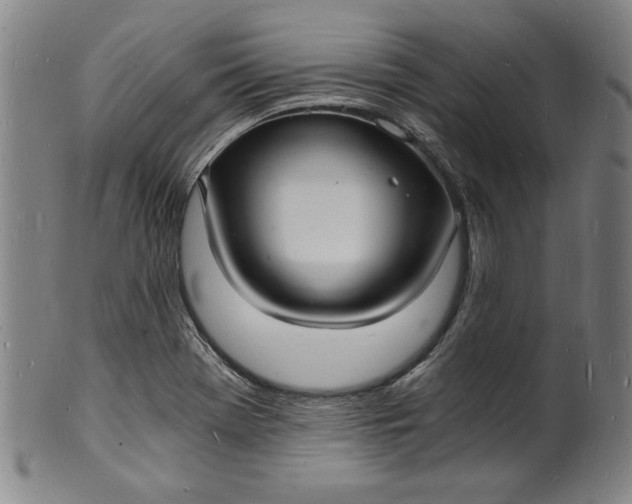 X0000102221369200808081307