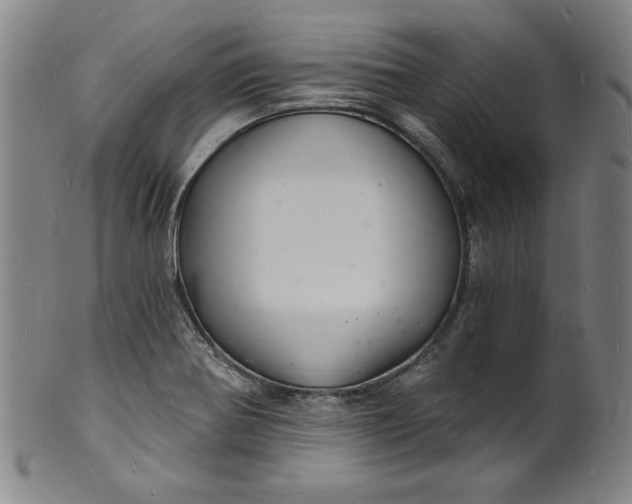 X0000102221370200808081307