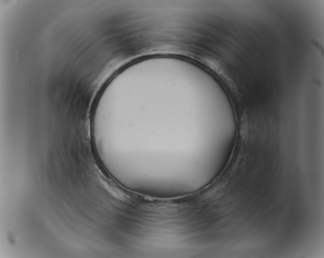 X0000102221372200808081307