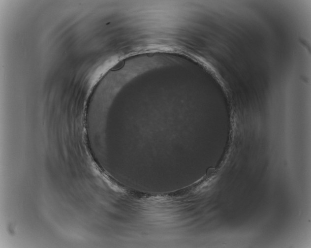 X0000102221373200808081307