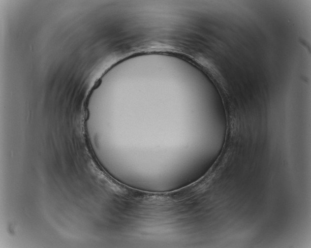 X0000102221374200808081307