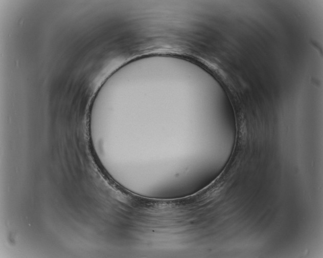 X0000102221375200808081307