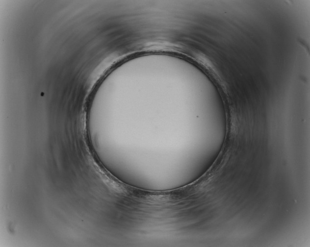 X0000102221376200808081307