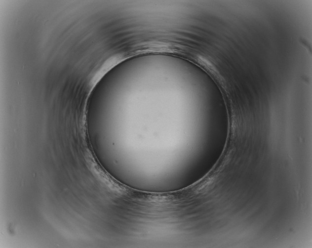 X0000102221378200808081307