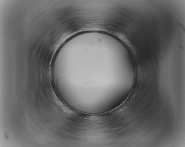 X0000102221380200808081307