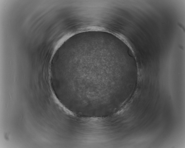 X0000102221381200808081307