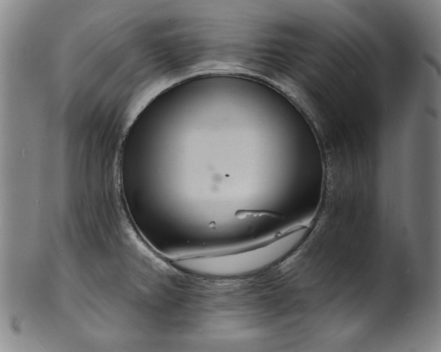 X0000102221382200808081307