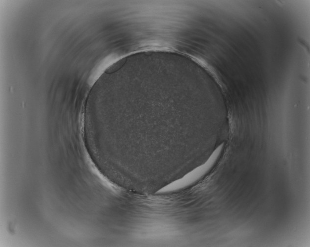 X0000102221383200808081307