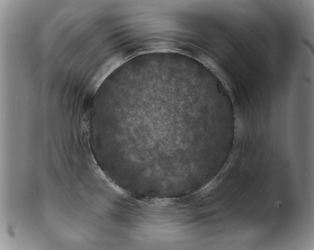 X0000102221385200808081307