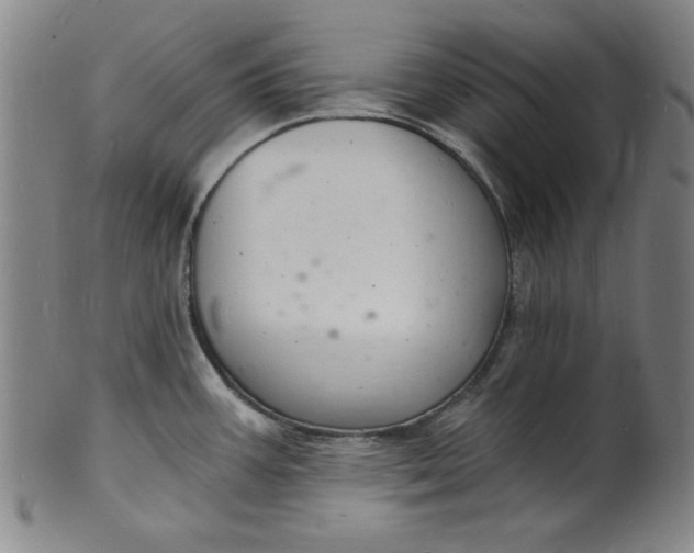 X0000102221387200808081307