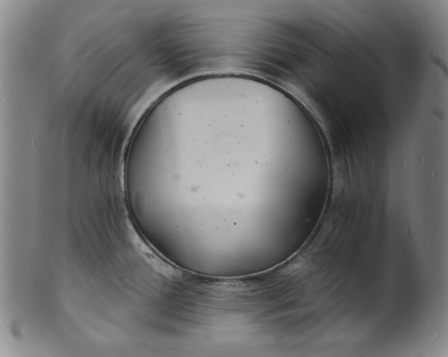 X0000102221388200808081307