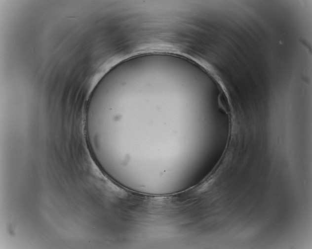 X0000102221390200808081307