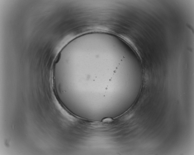 X0000102221391200808081307