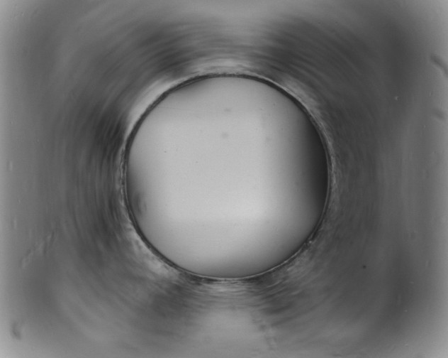 X0000102221392200808081307