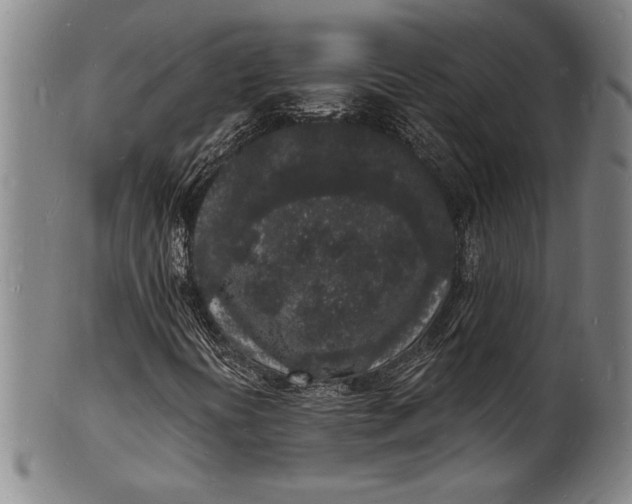 X0000102221394200808081306