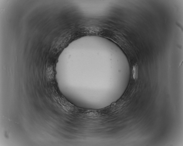 X0000102221395200808081306