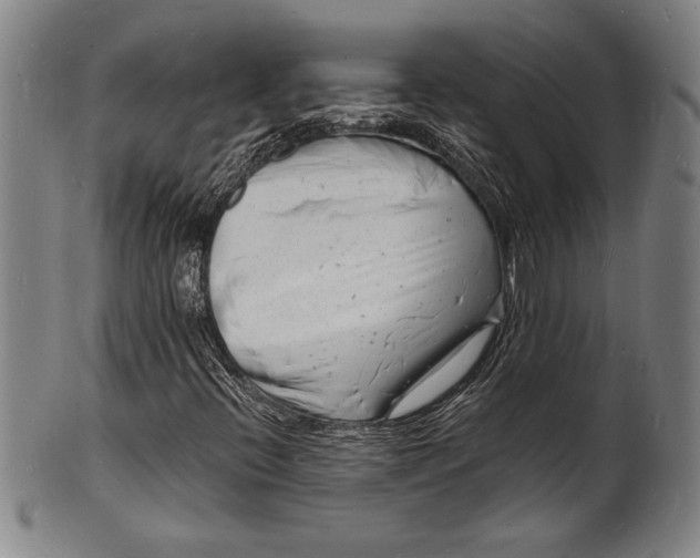 X0000102221396200808081306