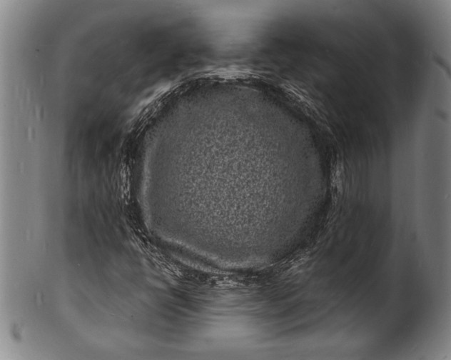 X0000102221398200808081306