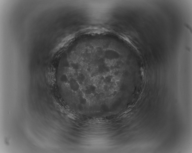 X0000102221399200808081306