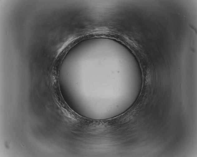 X0000102221400200808081306