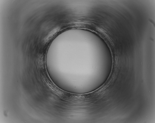 X0000102221403200808081306