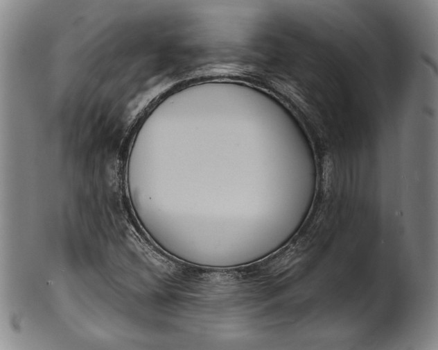 X0000102221404200808081306