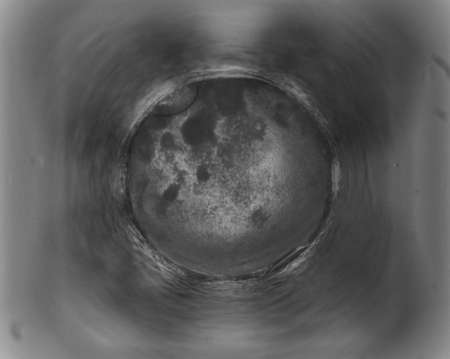 X0000102221405200808081306