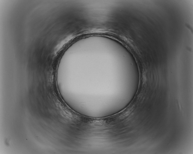 X0000102221406200808081306