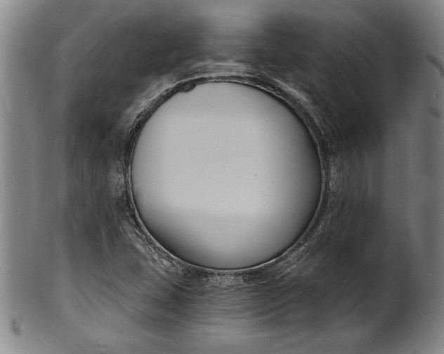 X0000102221407200808081306