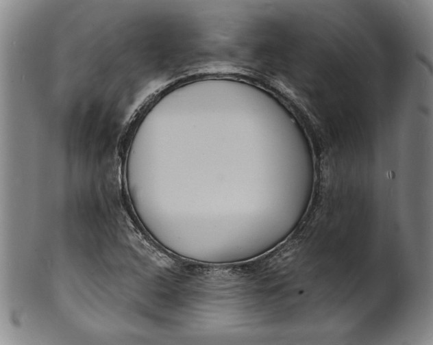 X0000102221408200808081306