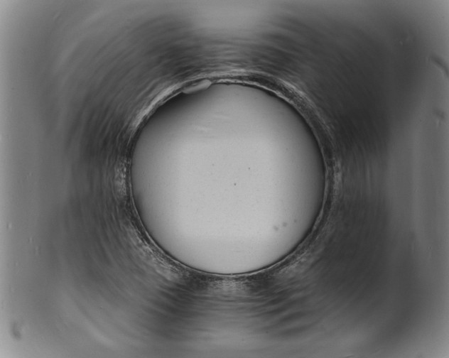 X0000102221409200808081306