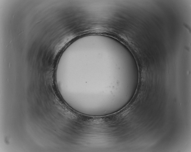 X0000102221410200808081306