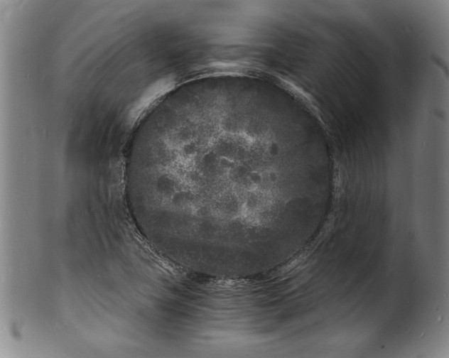 X0000102221411200808081306