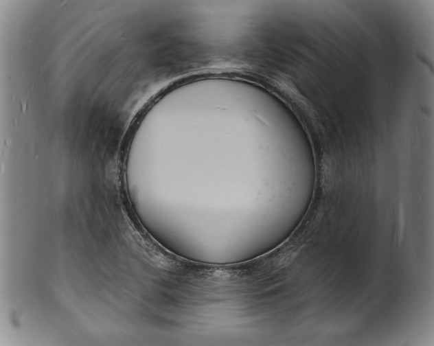 X0000102221412200808081306