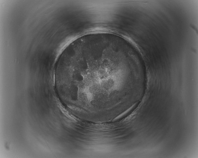 X0000102221413200808081306