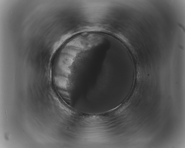 X0000102221414200808081306